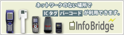 InfoBridge