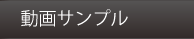 動画サンプル