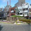 彦根駅前の花壇 イメージ