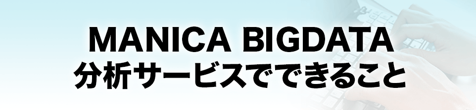 MANICA BIGDATA分析サービスでできること