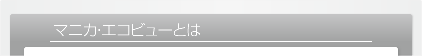 マニカエコビューとは