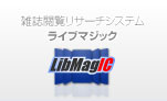 LibMagIC