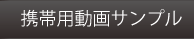 携帯用動画サンプル
